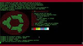 How To Run MySQL on a Docker Container On Ubuntu 20.04