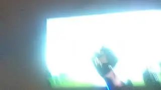 ЗАЛАТАЯ ЦАЩЯ