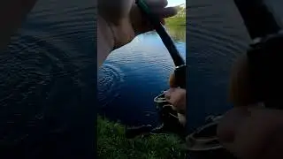 nice bass on a rubber worm