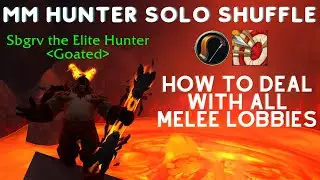 SURVIVING ALL MELEE LOBBIES - DRAGONFLIGHT MM HUNTER SOLO SHUFFLE PVP