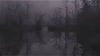 [FREE] Devstacks x Izaya Tiji x Rockstarcliff Type Beat “ Forest “