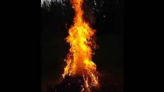 Vlog- большой костер,много дыма,поливаем бензином,кидаем опилки...