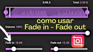 Fade in - Fade out en InShot App (how to)