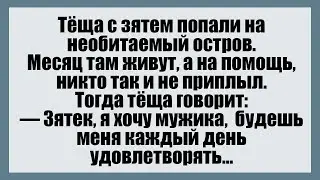 Тёща с зятем попали на необитаемый остров - Смешные анекдоты