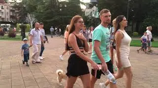 Shallow Lady Gaga