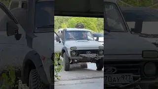 Нивы