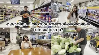 🇰🇷🇮🇳Grocery shopping in korea   #indiankoreancouplevlog  #IndianKoreanCouple