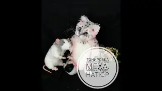 Тонировка  Мишки тедди  Натюр  Teddy bear  Diy  Toning Hand made Cat