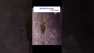 🔥Куда девается вода? 