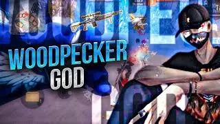 WOODPECKER GOD✨