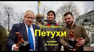 Петухи.  С. Шангин.  Чит.  В. Алёшин.