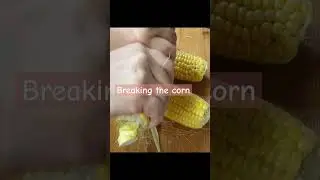 Corn Cutting 