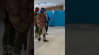 сайлау. сайлауға черепашка ниндзялар келді