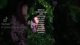 Bilirdin axi derdimi, Bes niye qirdin qelbimi..Sene men  yarali gelmisdim.