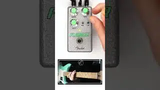 Fender - Hammertone Flanger #flanger #fender #guitarpedal