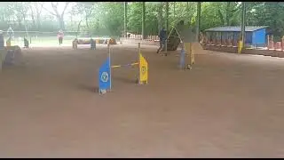 2021 05 02   CSEN Garu Agility