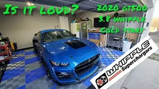 2020 GT500 3.8 WHIPPLE COLD START ON 93 OCTANE AND RACE PIPES