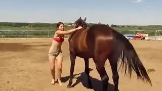The Horse Showed It's Sympathy For The Girl Who Just Couldn't Climb Up