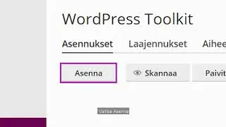 WordPressin asennus Plesk-hallintapaneelin kautta