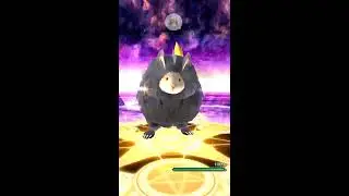 Dragon Project Introduction & First Summoning