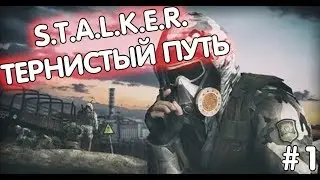 S.T.A.L.K.E.R. / STALKER Тернистый путь #5