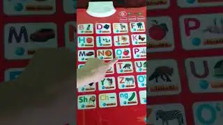 Bu so'zlovchi alifbo bolalarni harflar o'rganishida oson yordam berar ekan 