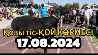 Түркістан облысы ҚОЙ КӨРМЕСІ-қозы тіс