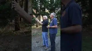 Hurricane Helene Damage Assessment in Gaston County