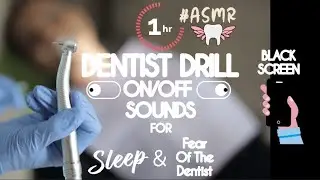 [ASMR] - 