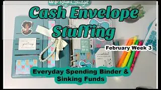 FEBRUARY WK 3 CHECK IN & CASH STUFFING | EVERYDAY SPENDING & SINKING FUNDS