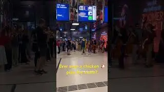 Ever Seen A Chicken Play The Violin? @ Amsterdam Central Station