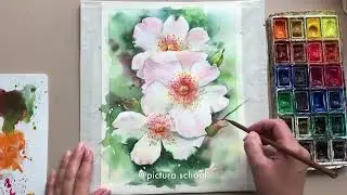 Рисуем шиповник акварелью.