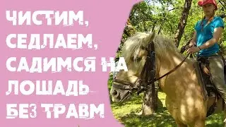Чистим, седлаем, садимся на лошадь без травм