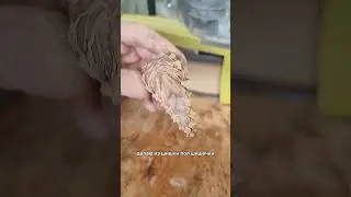 Доска из вишни с шишками 😍 #diy #столярка #woodworking #homedecor