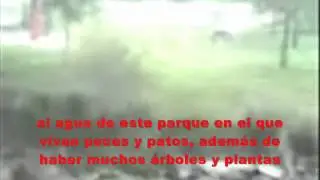 Contaminación en Ontígola