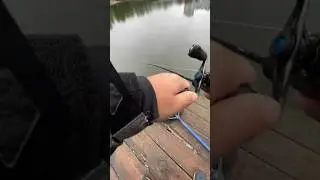 Поклевка на крупный силикон 🐟 