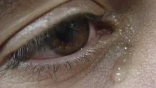 Chico Amado e Xodo Vai sofrer Prá lá