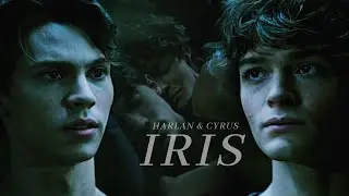 Harlan & Cyrus || Iris [wolf pack]