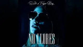 D2k, Trigue Boy - No Llores (Audio Oficial♪)