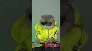 😎