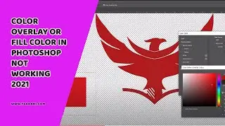 Color Overlay or Fill Color in Photoshop not working 2021