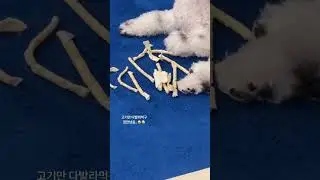애프리 xxapplee kr story 2023 09 15