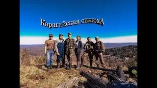ДОБРЫЙ ПОХОД│Восхождение на Синюху