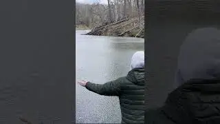 Magnetism (Blasting Water) #shorts