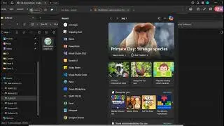 How to install and work with Multimedia Logic Software