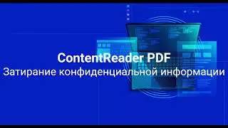 Как затирать конфиденциальную информацию в ContentReaderPDF