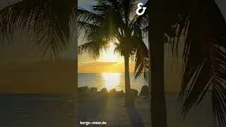 Unvergessliches Vietnam 🌅 | Berge & Meer