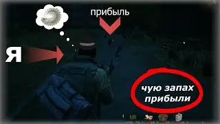 Stalker Online - 