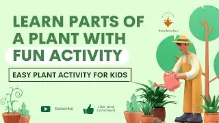 Learn Parts of a Plant with fun engaging Activity
