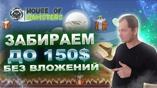 Забираем фришку за 150$ от крутого проекта House of Hamsters